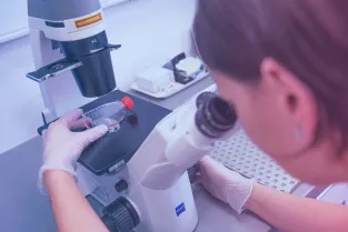 GNT Labs