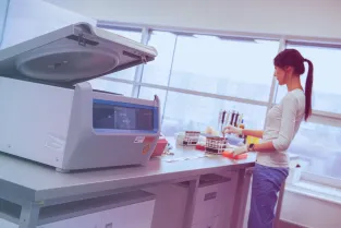 GNT Labs